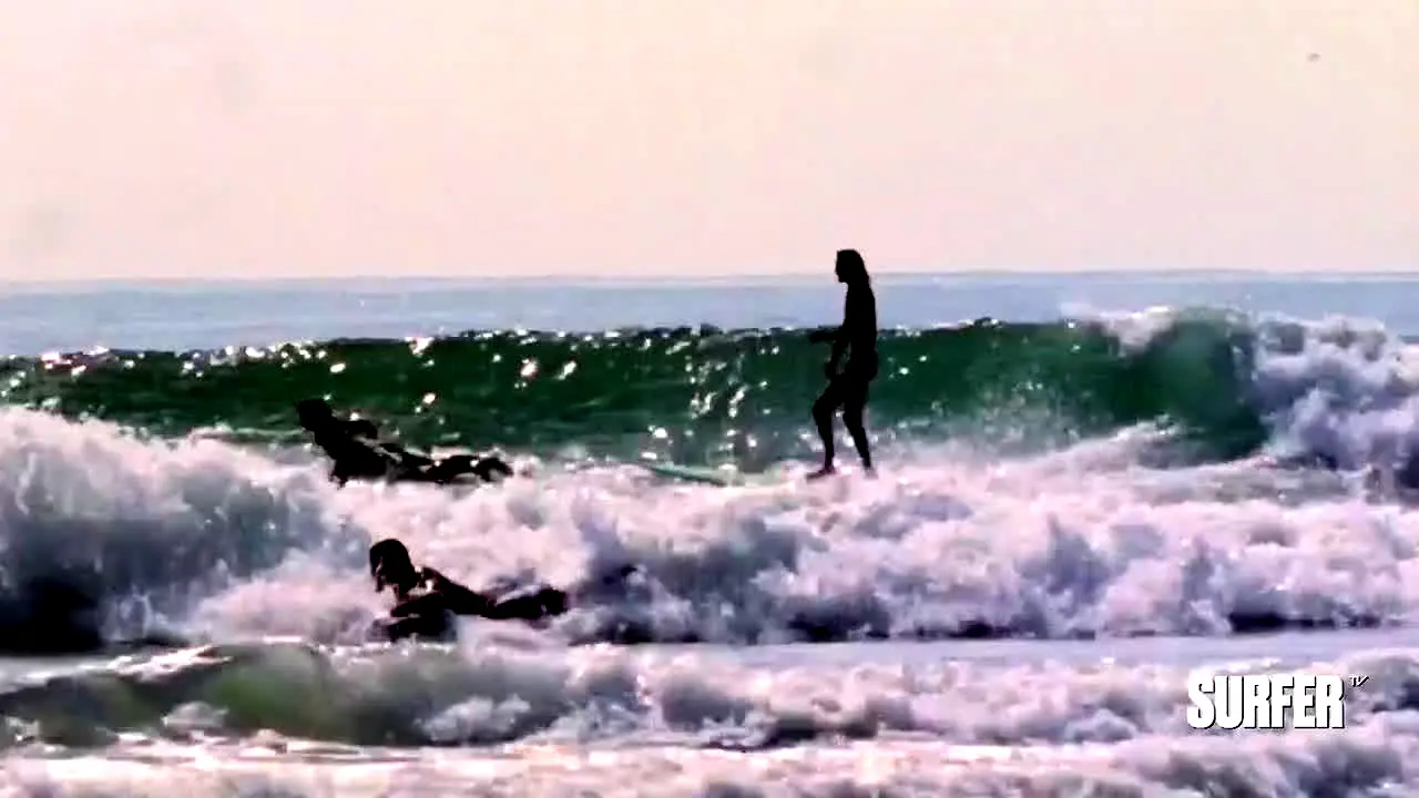 Surfer TV en direct