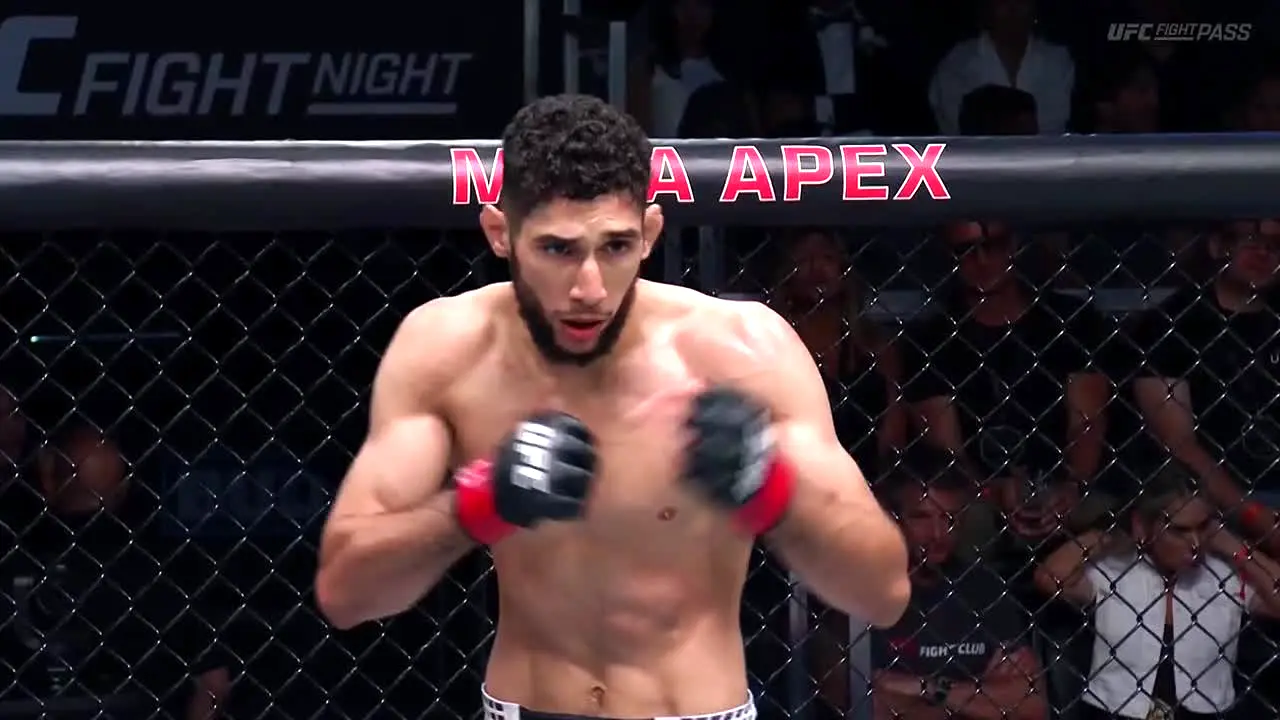 UFC live