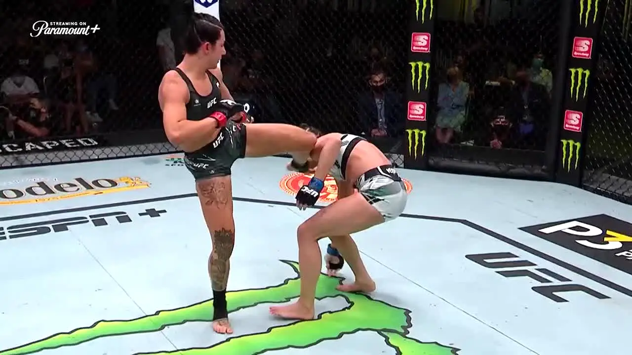 UFC live
