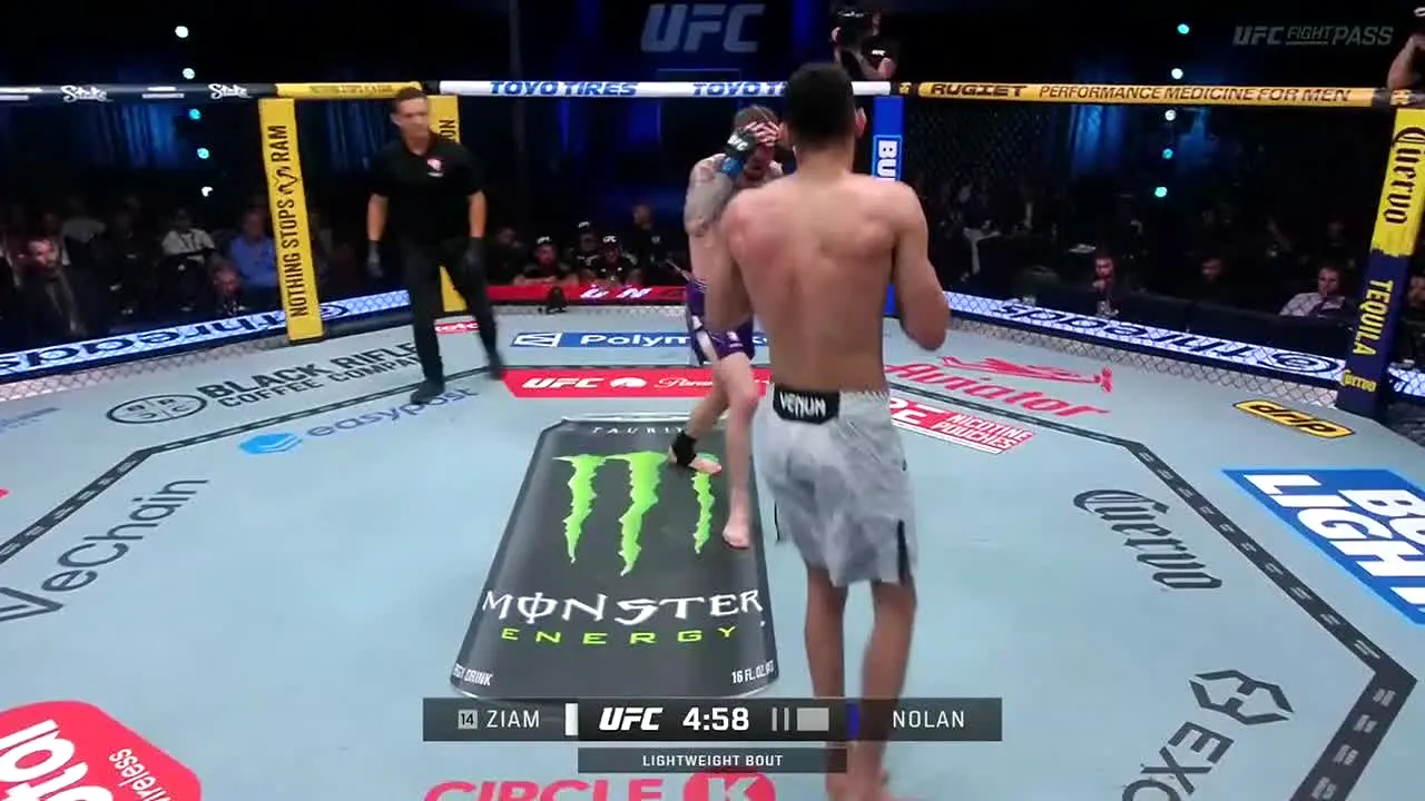 UFC live