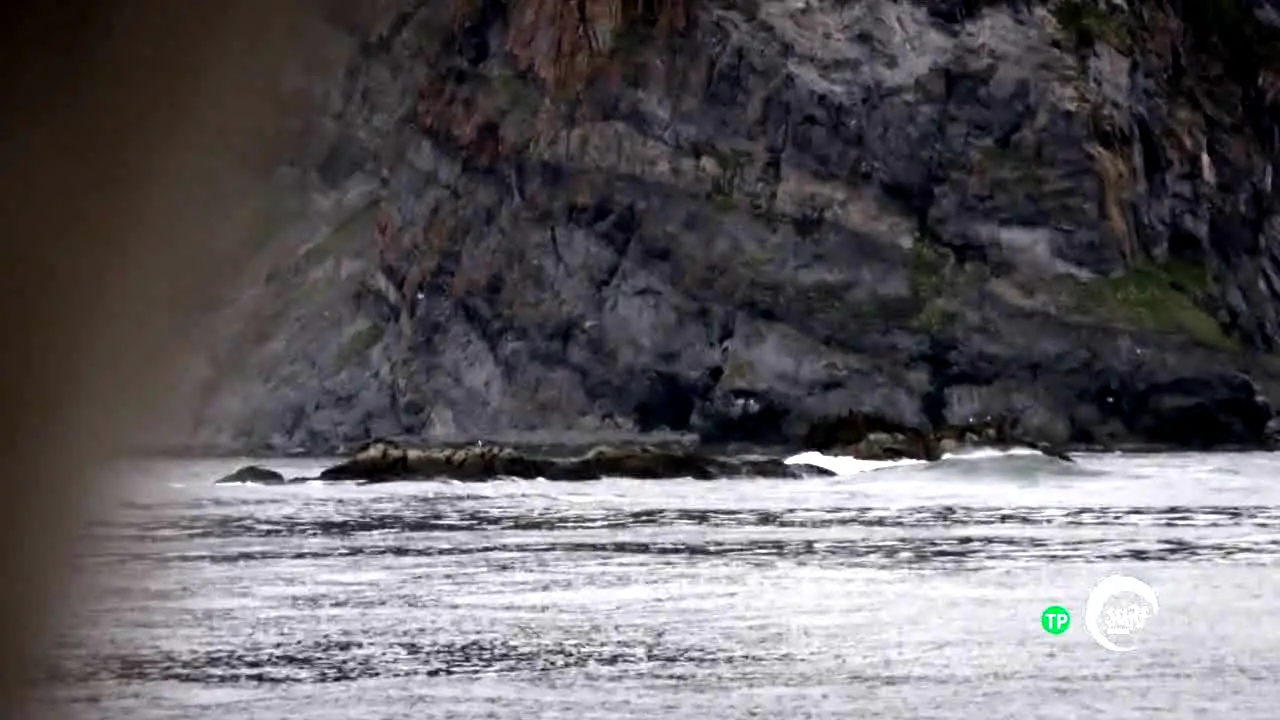 Surf Channel en direct