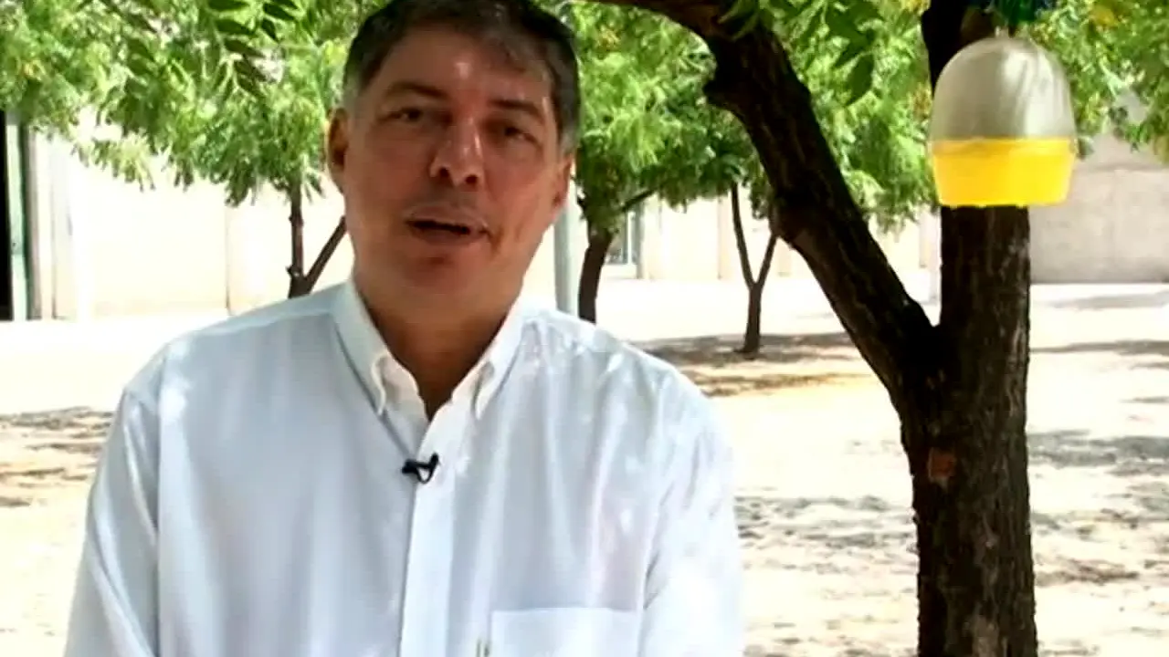 TV Folha do Campo live
