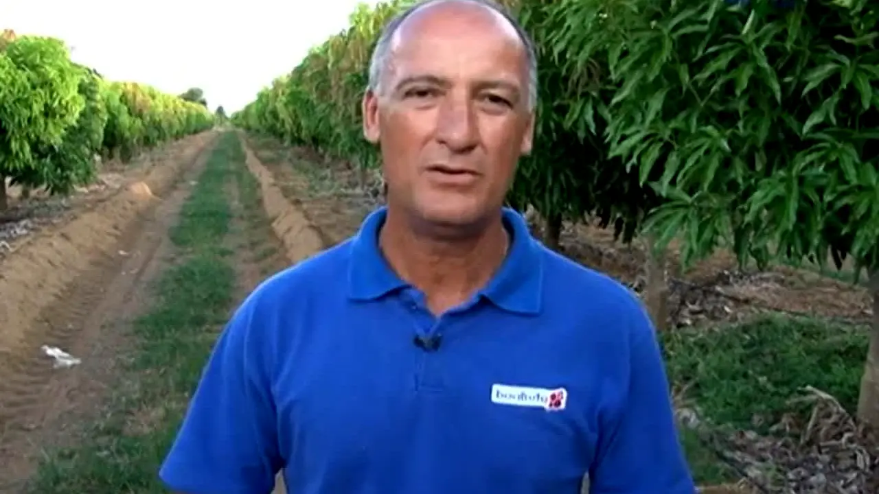 TV Folha do Campo na żywo