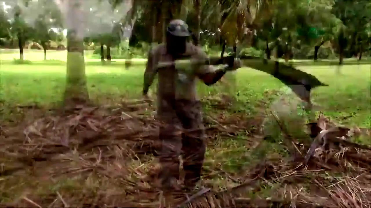 TV Folha do Campo en vivo