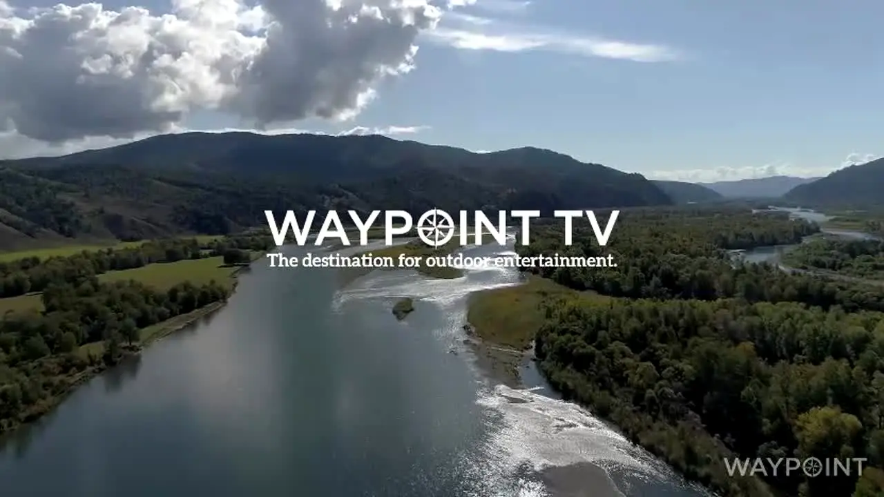 Waypoint TV en vivo
