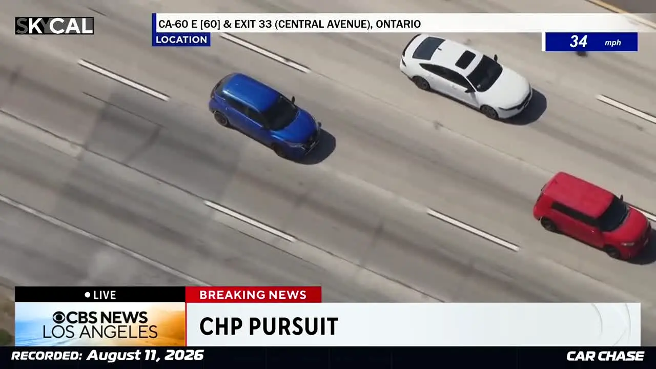 Car Chase live