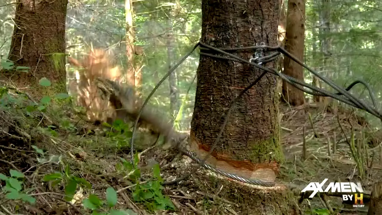 Ax Men na żywo