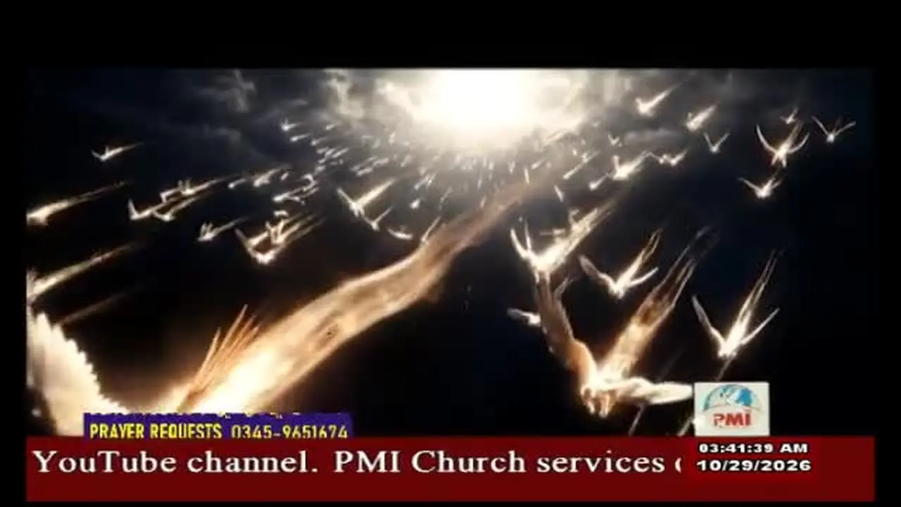 PMI TV en vivo