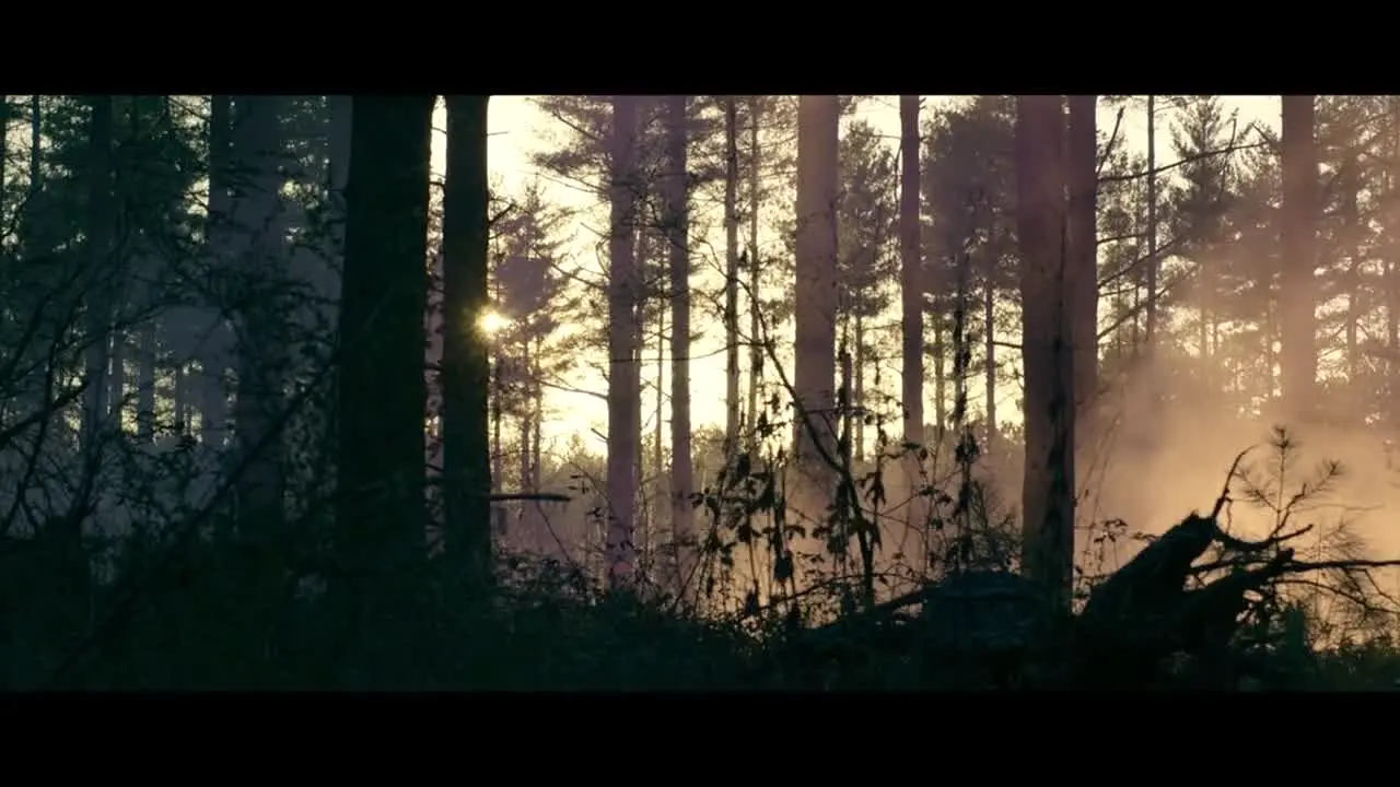 Pluto TV Film Thriller live