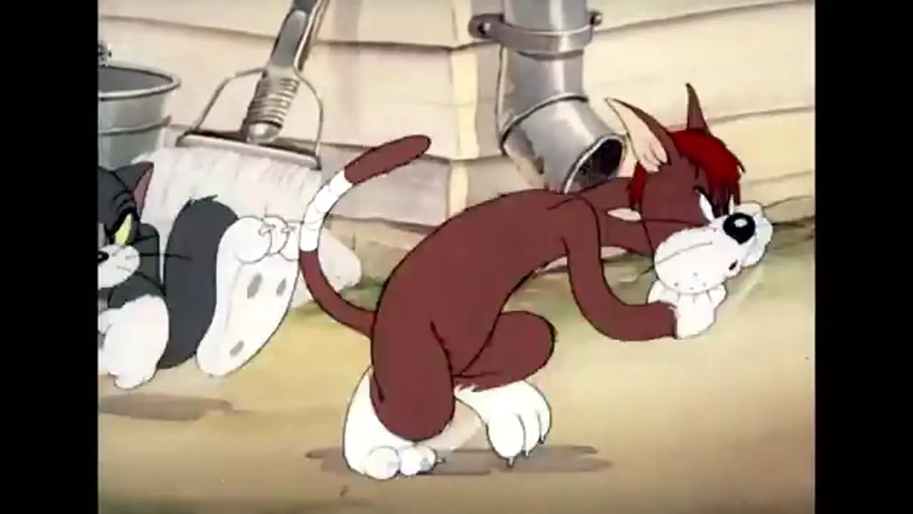 Tom And Jerry live