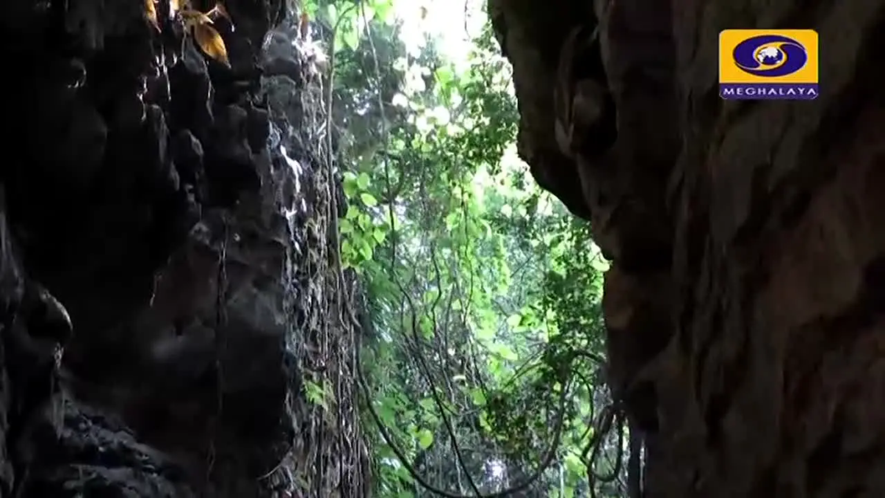 DD Meghalaya live