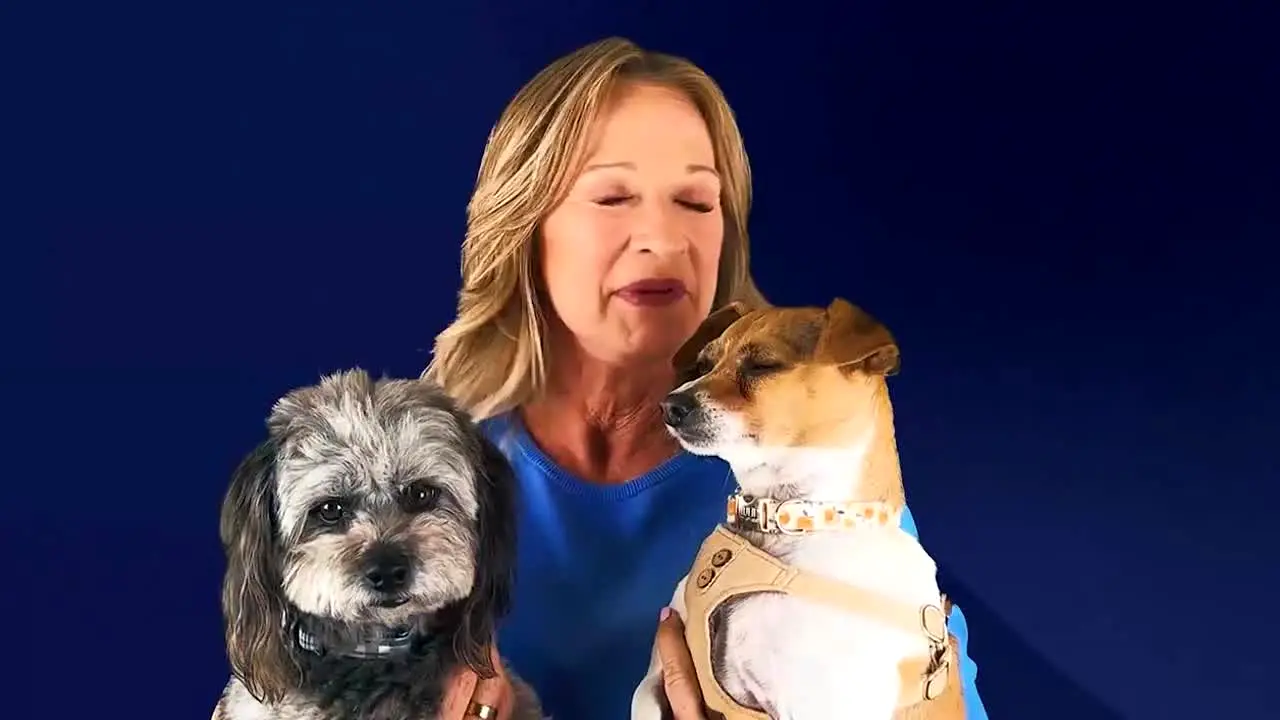 Unleashed by DOGTV live