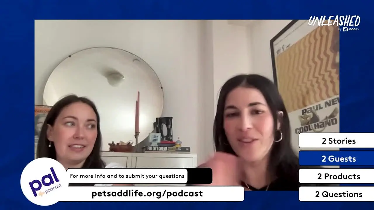 Unleashed by DOGTV ao vivo
