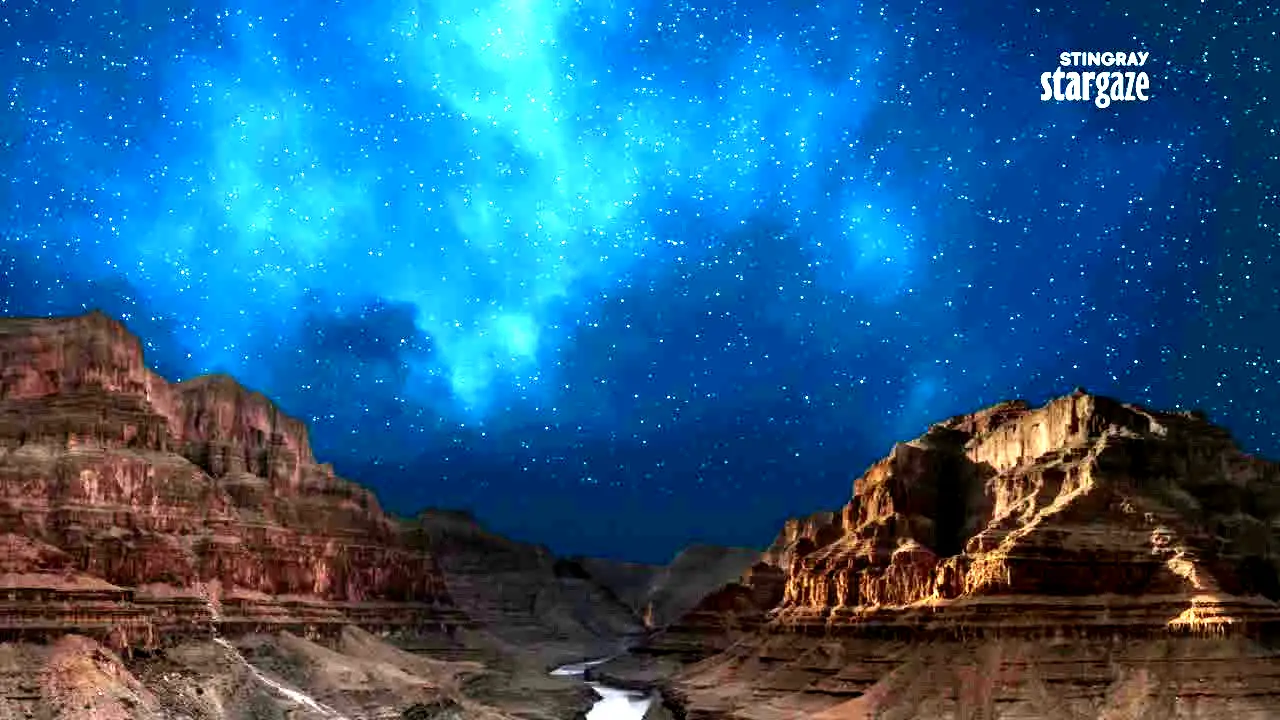 Stingray Stargaze live
