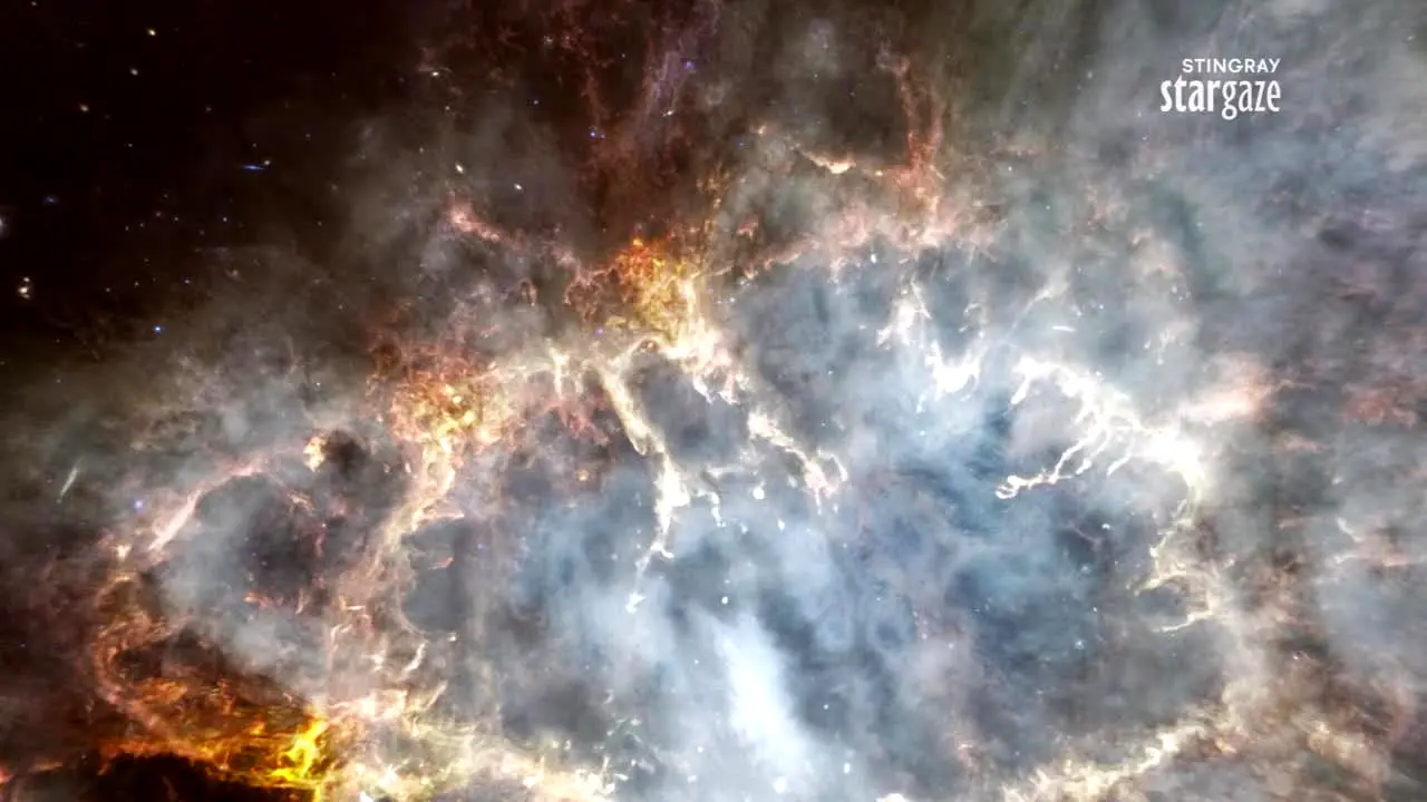 Stingray Stargaze en direct
