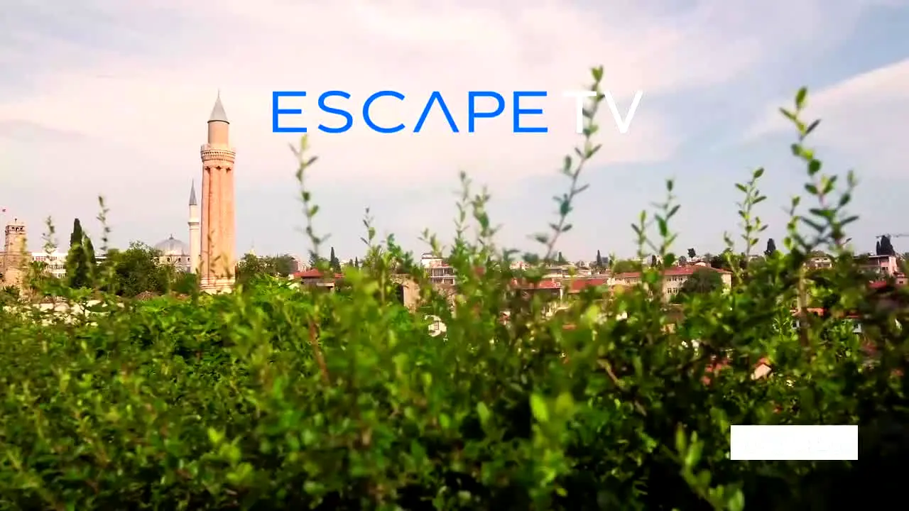 Escape TV na żywo