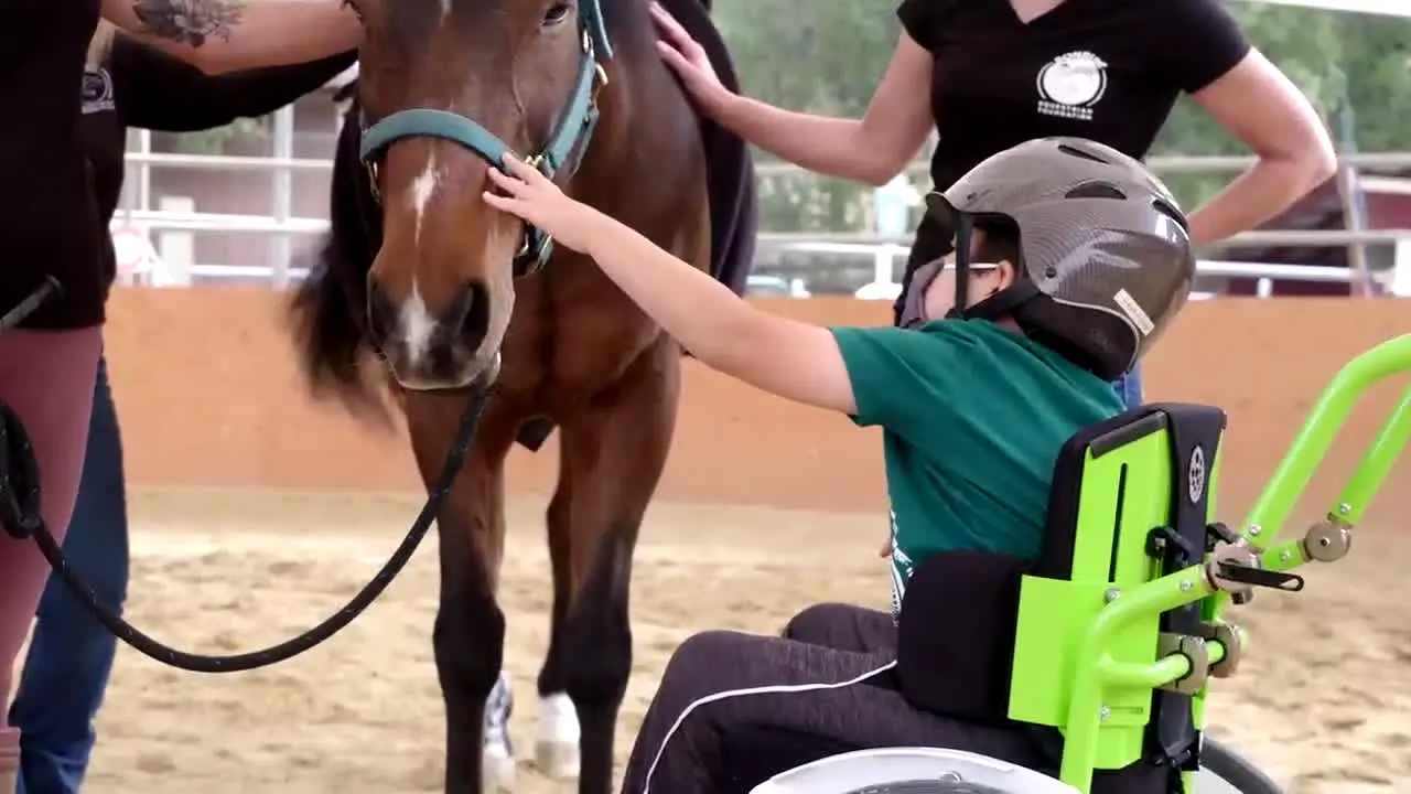 Equus TV en vivo
