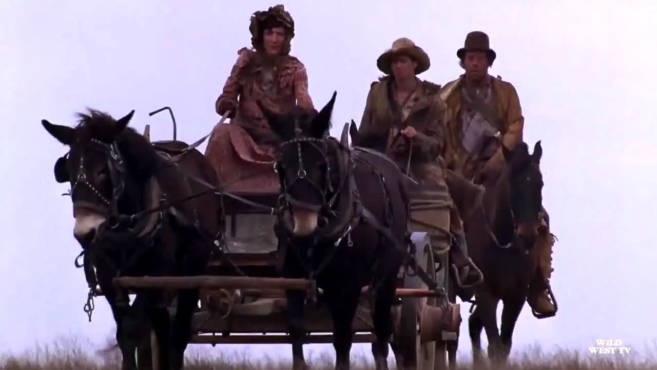 Wild West TV live