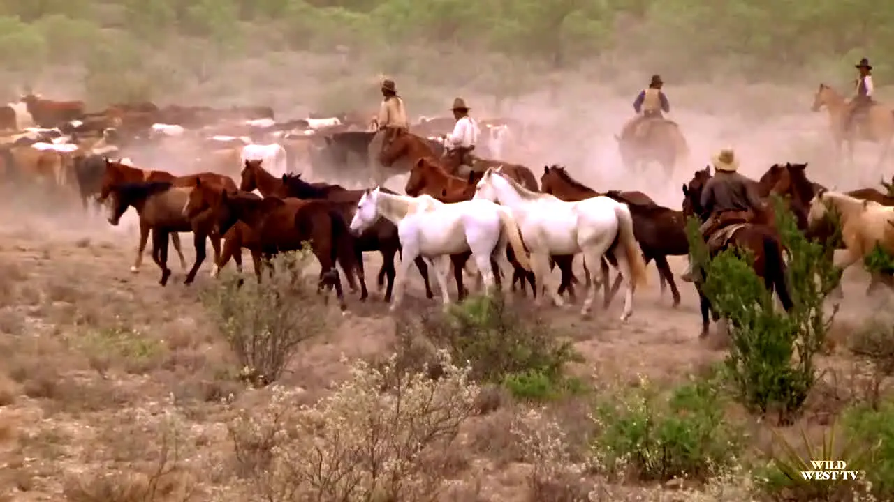 Wild West TV in diretta
