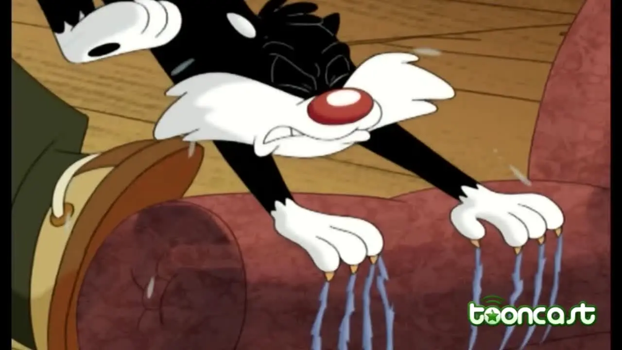 Tooncast — прямой эфир