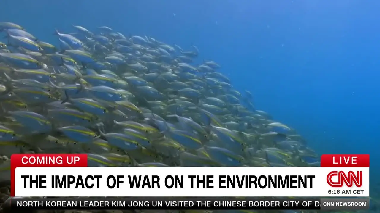 CNN International live