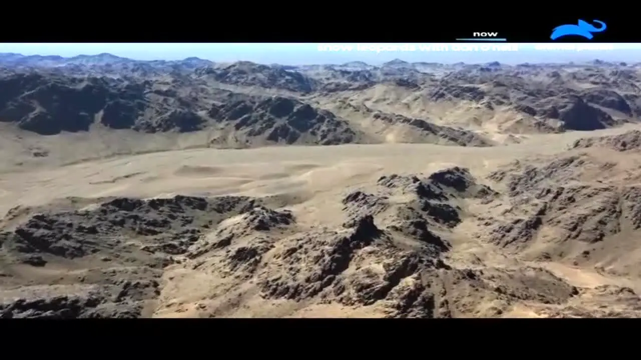 Animal Planet live