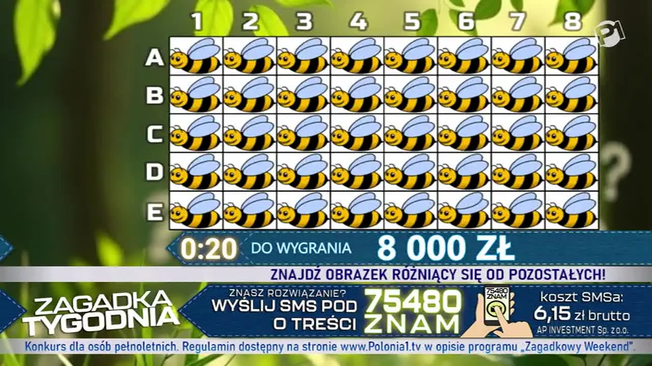 Polonia 1 live