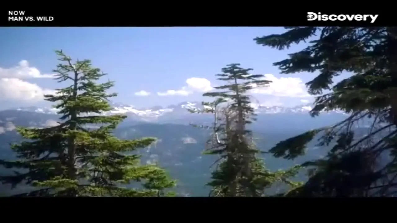 Discovery Channel in diretta
