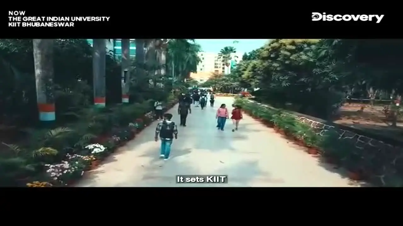 Discovery Channel na żywo