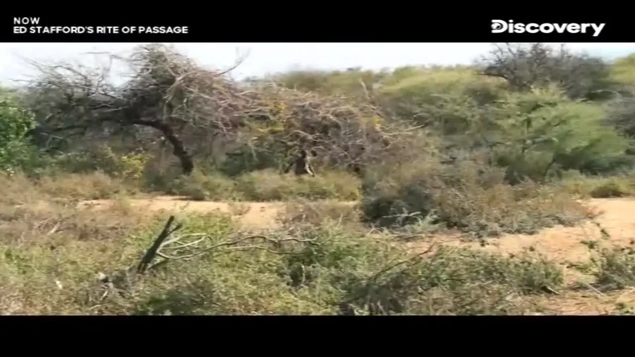 Discovery Channel ao vivo