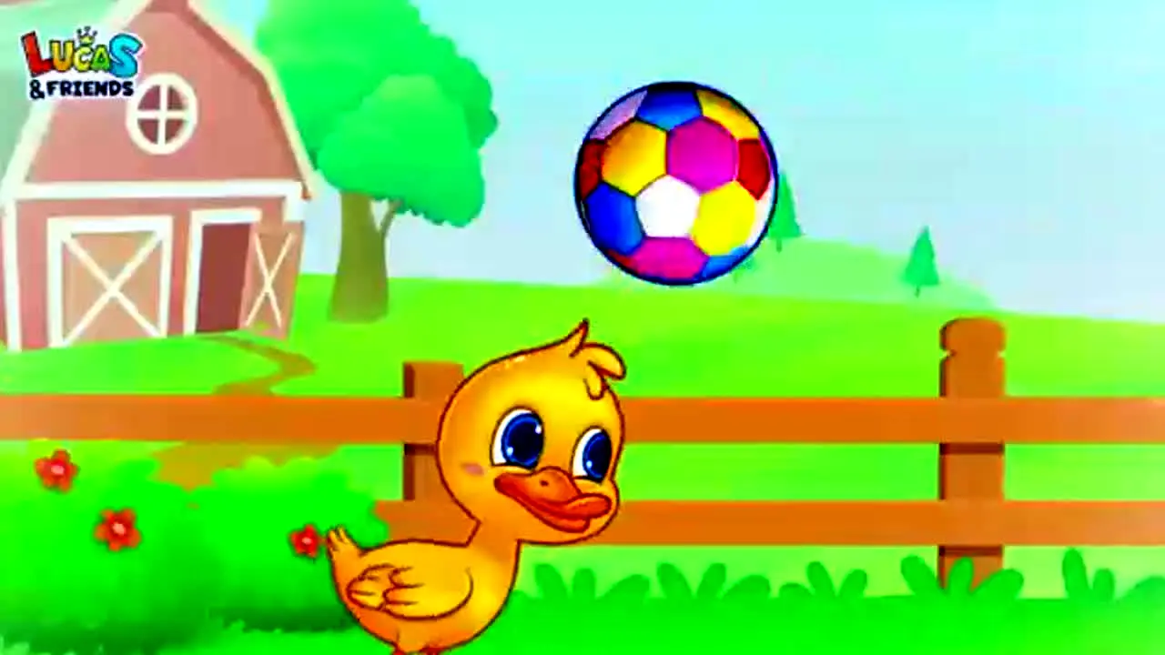 Lucas & Friends na żywo
