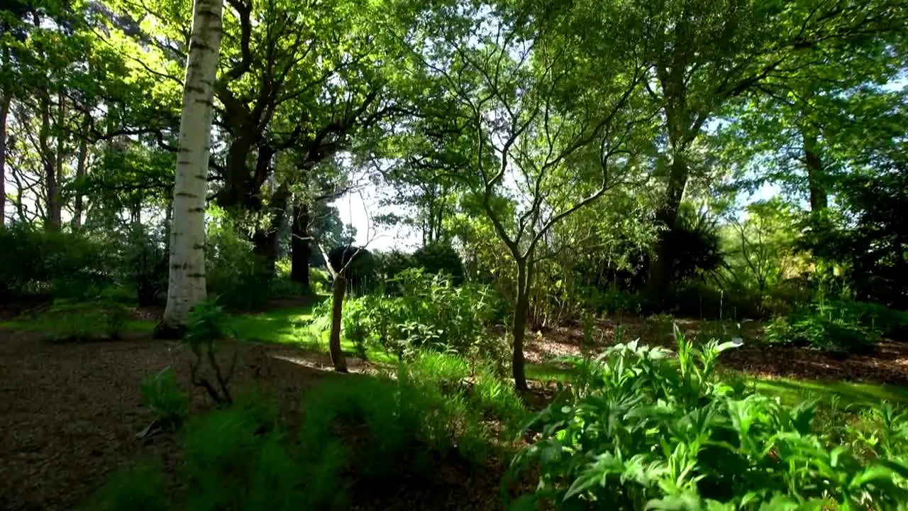 Gardeners' World live