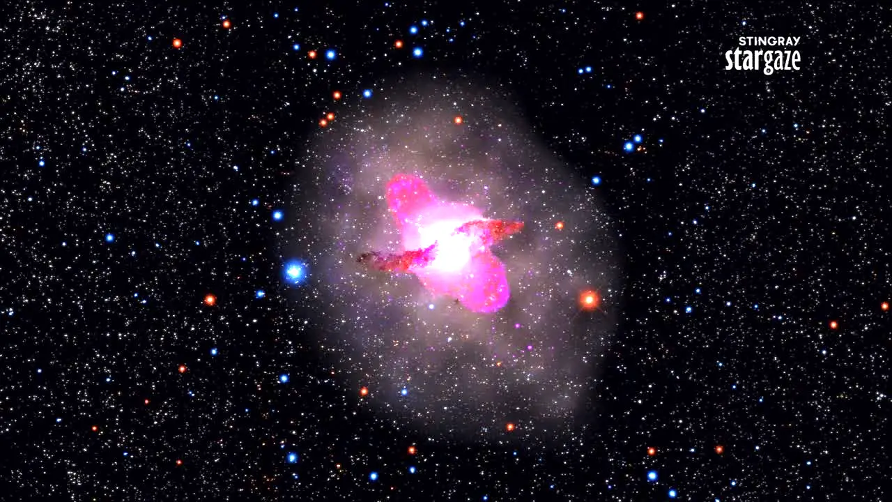 Stingray Stargaze live