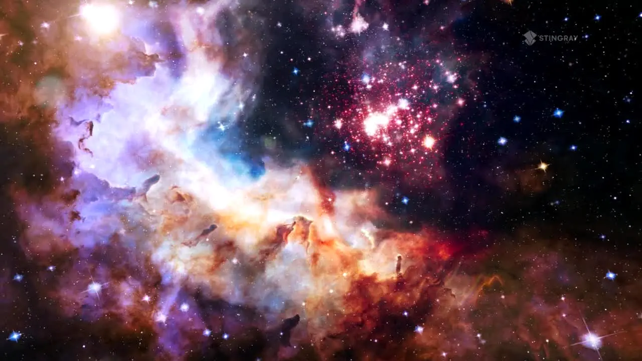 Stingray Stargaze live