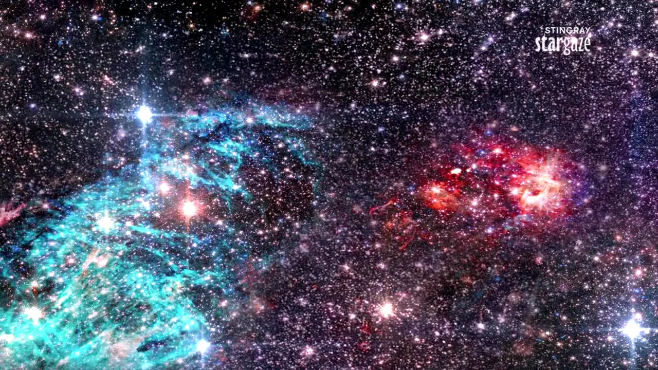Stingray Stargaze en vivo