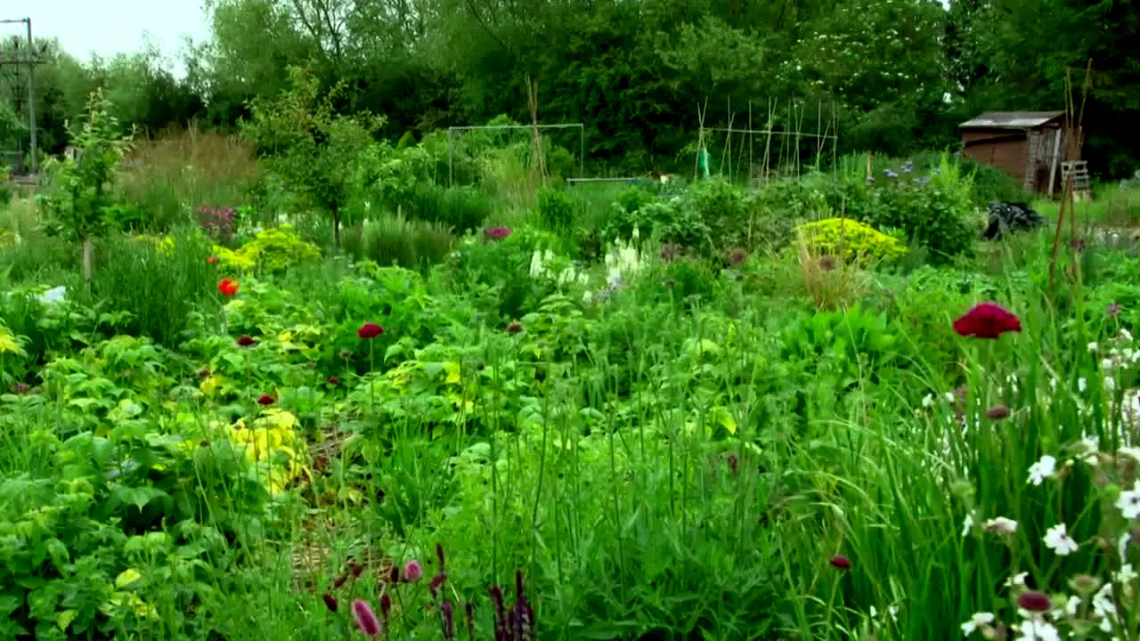 Gardeners' World live