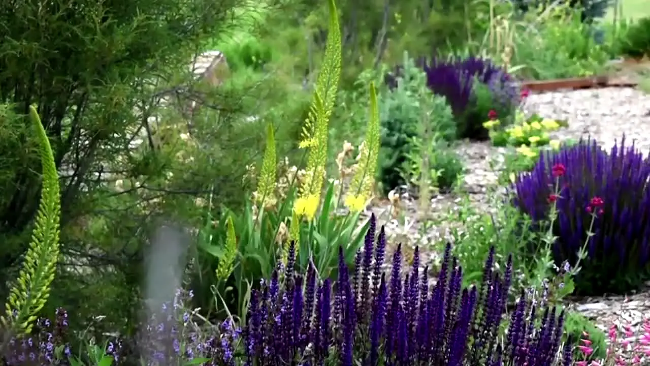 Gardeners' World live
