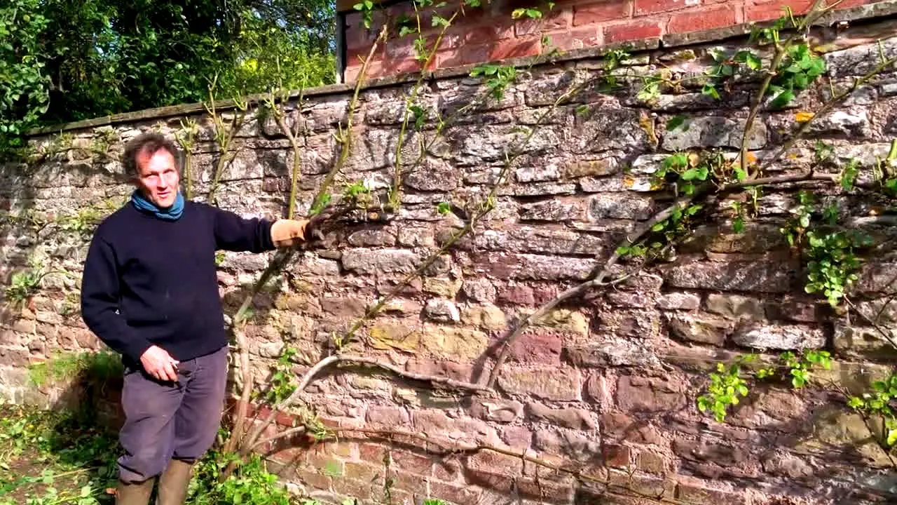 Gardeners' World na żywo