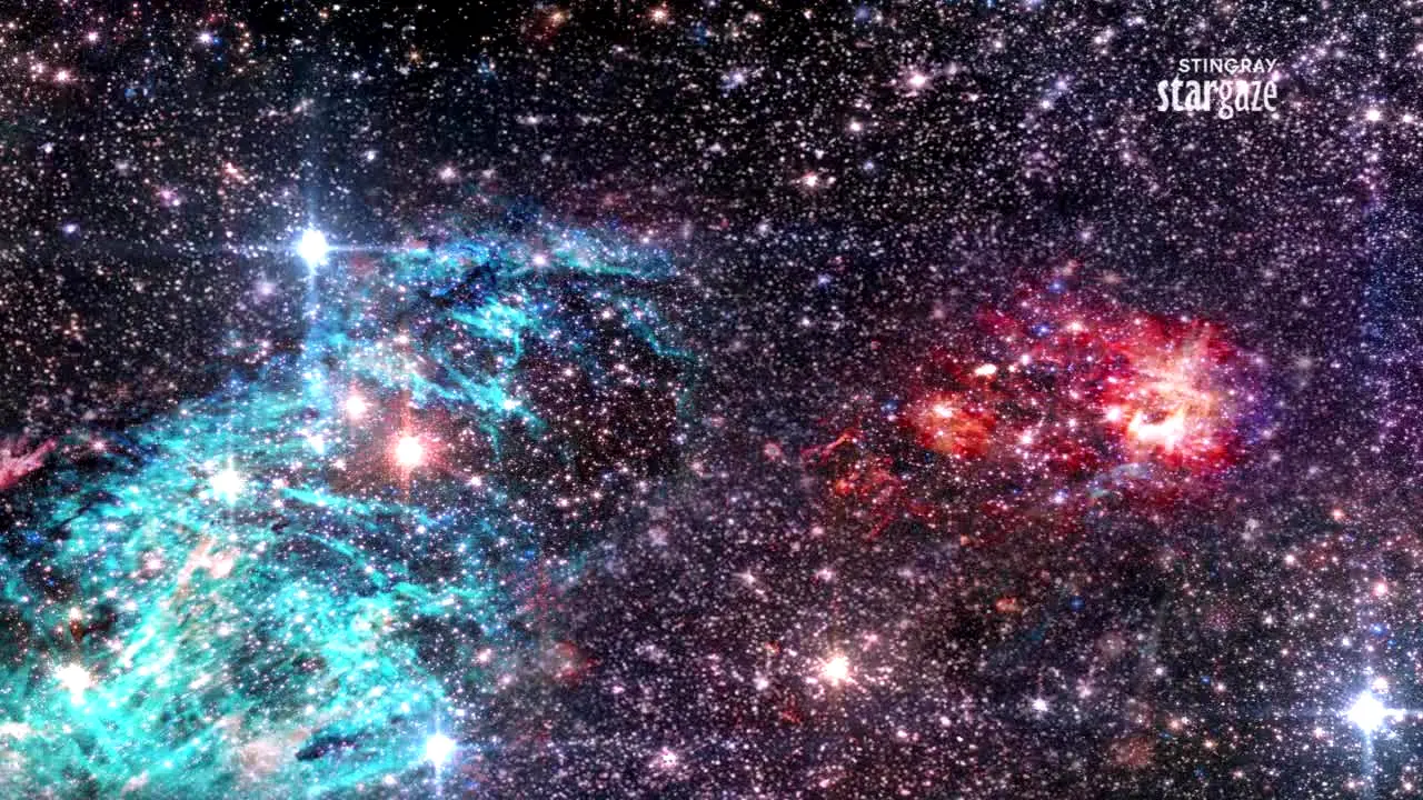 Stingray Stargaze en vivo