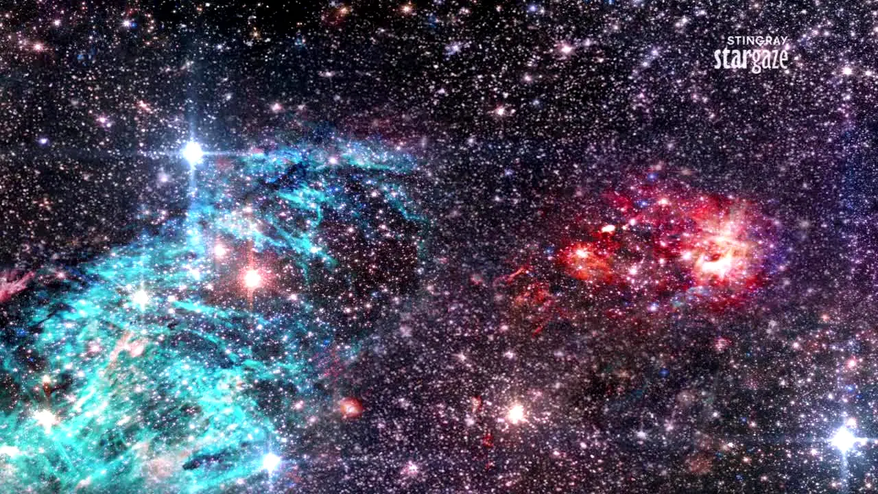 Stingray Stargaze en vivo