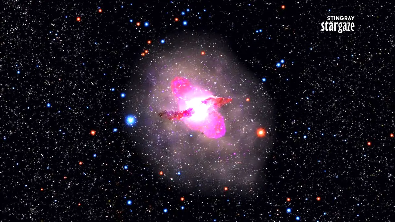 Stingray Stargaze in diretta