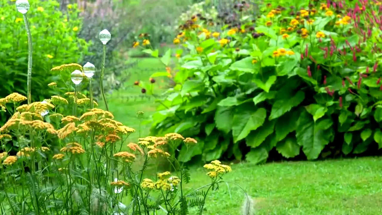 Gardeners' World in diretta