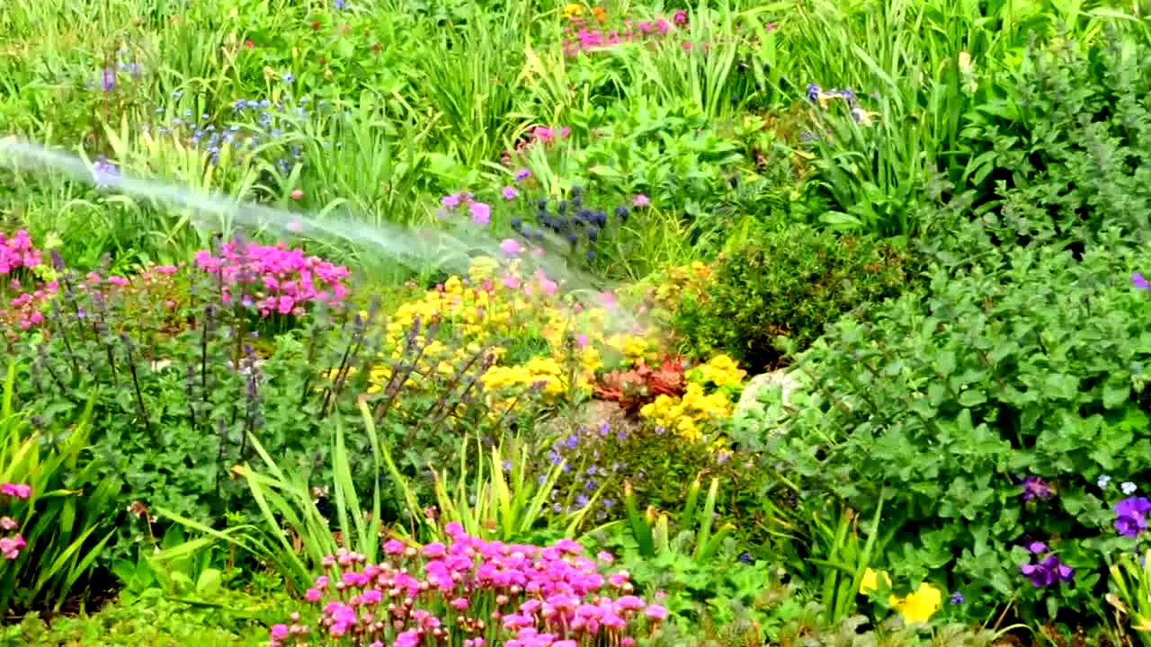 Gardeners' World ao vivo