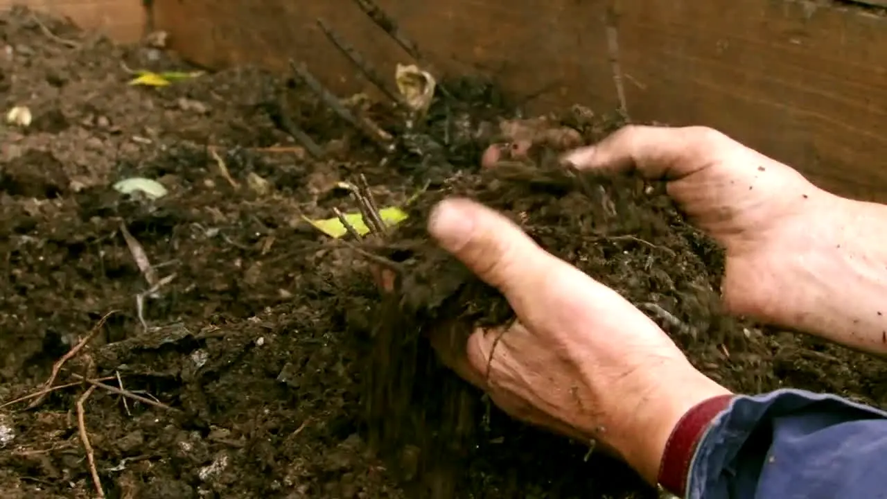 Gardeners' World live