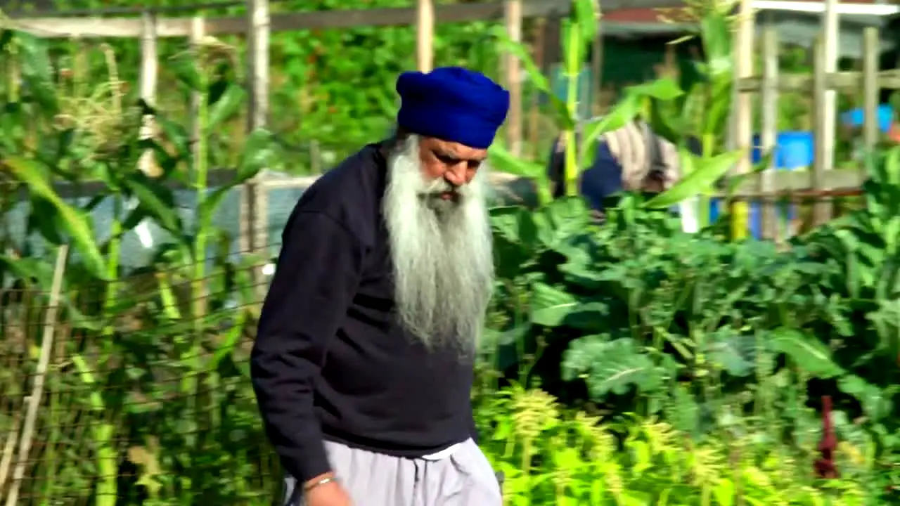 Gardeners' World live