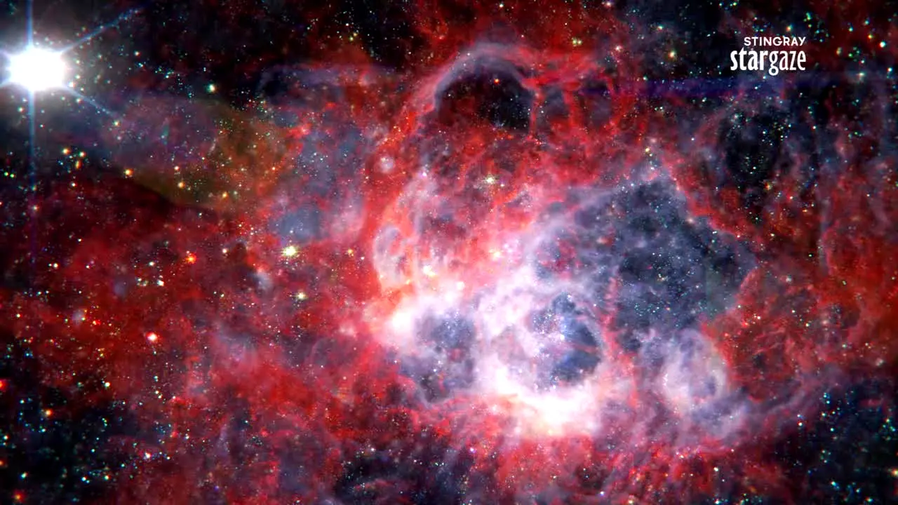 Stingray Stargaze live