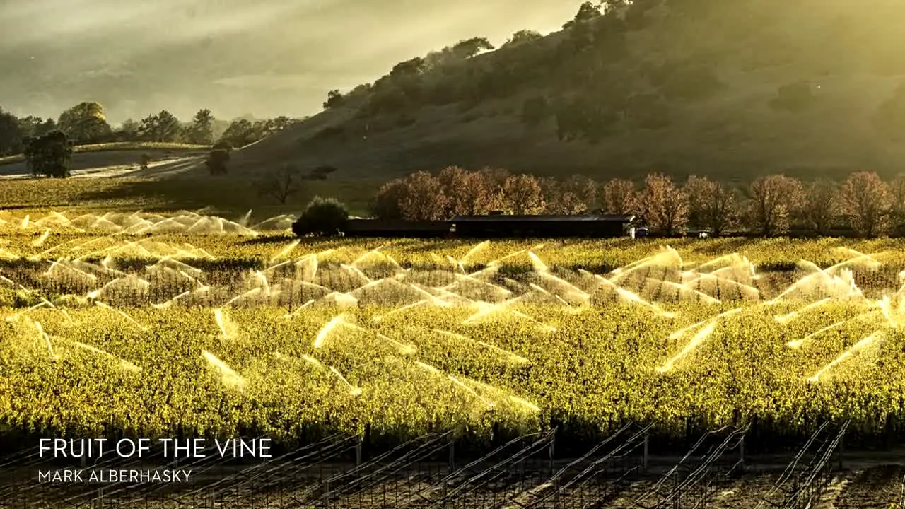 Loupe Art live
