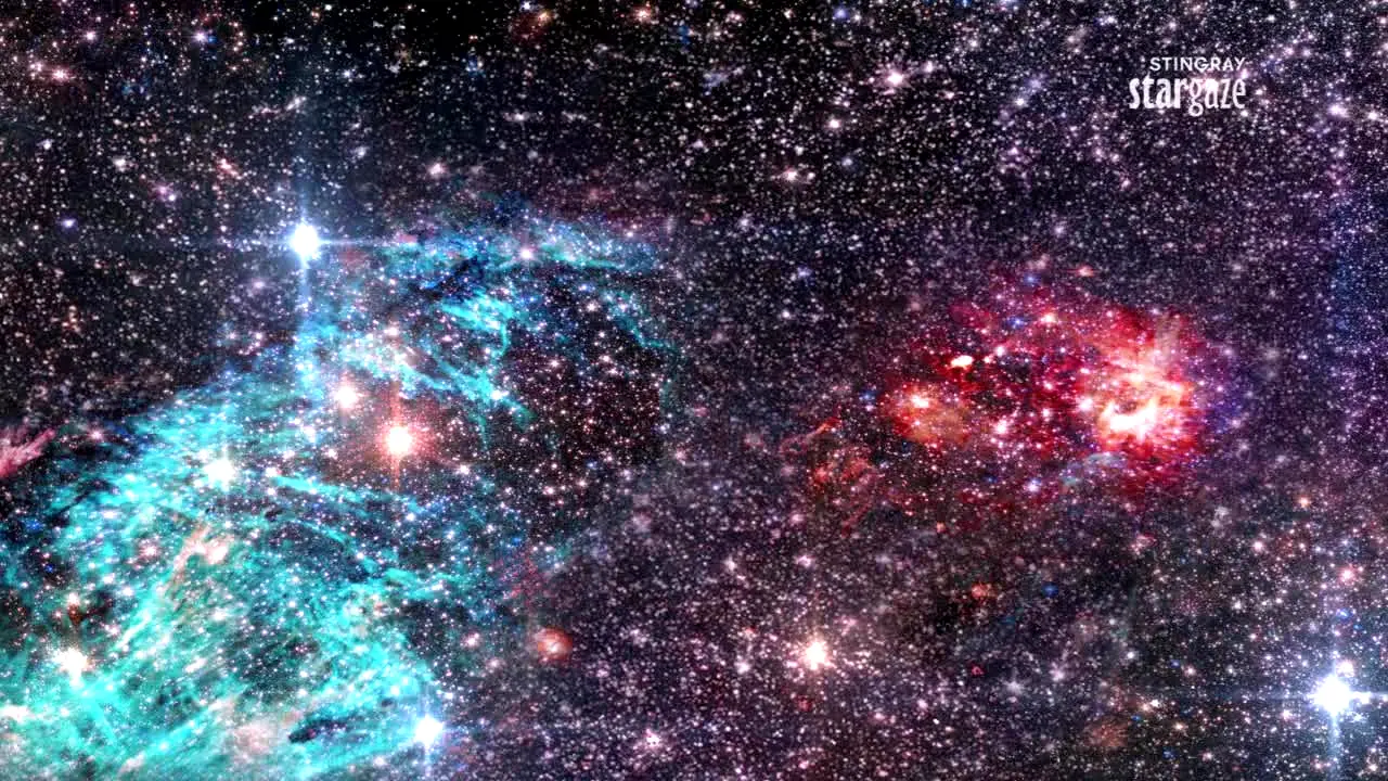 Stingray Stargaze live