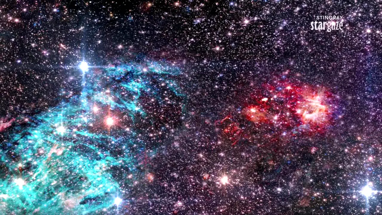 Stingray Stargaze live
