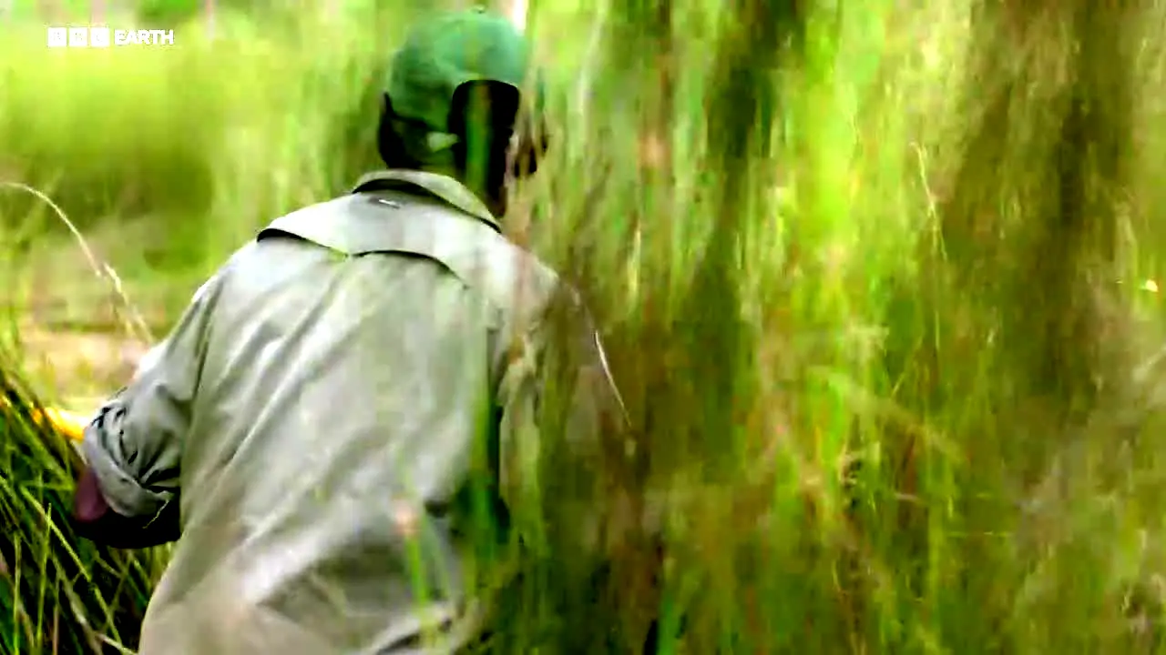 BBC Earth na żywo